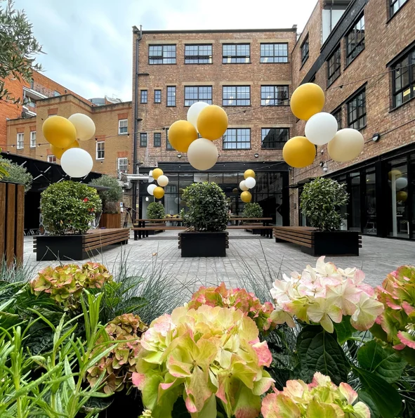 Giant Helium Balloons